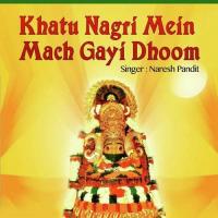 Tu Hi Nazraon Hai Mere Syama Naresh Pandit Song Download Mp3