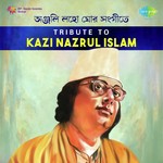 Amay Nahe Go Bhalobaso Shudhu Madhuri Chatterjee Song Download Mp3