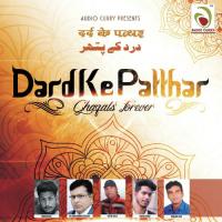 Zindagi Dard Ke Patthar Se Jo Takrai Hai Rafiq Raja Song Download Mp3