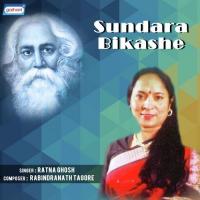 Nibiraghana Andhare Ratna Ghosh Song Download Mp3