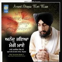 Anand Bhayaa Meri Maae Bhai Tajvinder Singh Ji (Hazuri Ragi Sri Darbar Sahib Amritsar) Song Download Mp3