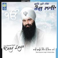 Raangan Rangau Siwan Sivau Bhai Gurpreet Singh Ji (Shimla Wale) Song Download Mp3