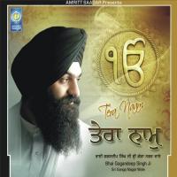 Haun Vaar Vaar Jaun Gur Gopal Bhai Gagandeep Singh Ji (Sri Ganga Nagar Wale) Song Download Mp3