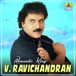 Nalnudi - Busy Ellaru Busy (From "Krazy Star") V. Ravichandran Song Download Mp3