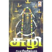 Nava Sakthi  Vinayakan Seergazhi Sivasithambaram Song Download Mp3