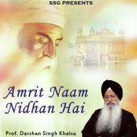 Amrit Naam Nidhan Hai Prof. Darshan Singh Khalsa Song Download Mp3