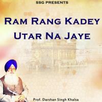 Ram Rang Kadey Utar Na Jaye Prof. Darshan Singh Khalsa Song Download Mp3