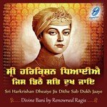 Tum Karo Daya Mere Bhai Niranjan Singh Ji Song Download Mp3