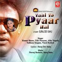 Ham Dono Aaj Jaenge Udit Narayan,Sadhana Sargam Song Download Mp3