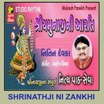 Shree Yamunaji Ni Aarti Nidhi Dhodkiya Song Download Mp3