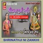 Shree Yamunaji Ni Stuti Nidhi Dhodkiya Song Download Mp3