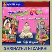 Yamunaji Na Pad 33 To 41 Nidhi Dhodkiya Song Download Mp3