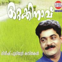 Punnayum Konnayum Gireesh Puliyoor Song Download Mp3