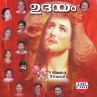 Sneham Sneham Anuradha Sriram Song Download Mp3