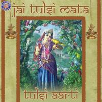 Jai Tulsi Mata-Tulsi Aarti Sanjivani Bhelande Song Download Mp3