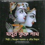 Madhur Krishna Naam Niranjan Sarkar Song Download Mp3