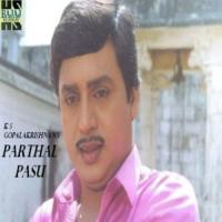 Chinna Mani Ponnu K. S. Chithra Song Download Mp3