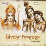 Jag Mein Sunder Hai Do Naam Anup Jalota Song Download Mp3