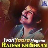 Neela Neela Neelambari (From "Jodi Hakki") Rajesh Krishnan,K. S. Chithra Song Download Mp3