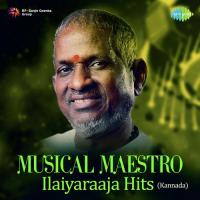 Preethisuvepreethisuve (From "Usire") K.J. Yesudas,Bhavatharini Song Download Mp3