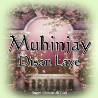 Dil Aah Muhinji Rizwan Ali Zaidi Song Download Mp3