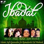 Bandya Nu Jaana Painda Hai Nusrat Fateh Ali Khan Song Download Mp3