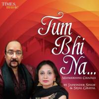 Tum Bin Kaise Yeh Din Beete Jaswinder Singh Song Download Mp3