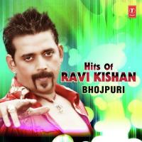 Jaise Chandan Pawan Udit Narayan,Sadhana Sargam Song Download Mp3