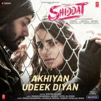 Akhiyan Udeek Diyan Master Saleem Song Download Mp3