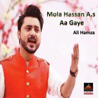 Mola Hassan A.s Aa Gaye Ali Hamza Song Download Mp3