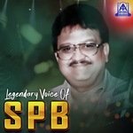 Sihimuthu Sihimuthu (From "Bangarada Kalasha") S. P. Balasubrahmanyam,K. S. Chithra Song Download Mp3