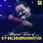 Nannase Mallige (From "Ravimaama") S. P. Balasubrahmanyam Song Download Mp3