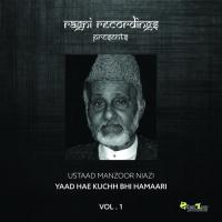 Naseema Jaanibe Baat'haa Ustaad Manzoor Niazi Song Download Mp3