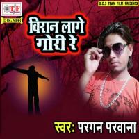 Biran Lage Godi Re Pargan Parwana Song Download Mp3