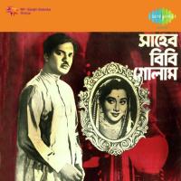 Ami Tomar Beena Sandhya Mukherjee Song Download Mp3