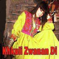 Facebook Lewani Kari Yo Zia Sahil Song Download Mp3