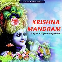 Hey Krishna Biju Narayanan Song Download Mp3