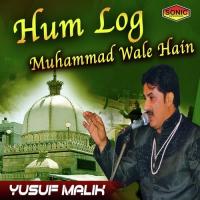 Meri Nas Nas Bole Nabi Nabi Yusuf Malik Song Download Mp3