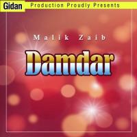 Aratm K Khan Na Malik Zaib Song Download Mp3