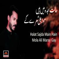 Halat Sajda Main Hain Mola Ali Maray Gay Farhat Ali Song Download Mp3