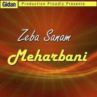 Ne Aid Mubarak Zeba Sanam Song Download Mp3