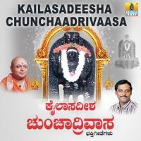 Nene Neneve Krishna Song Download Mp3