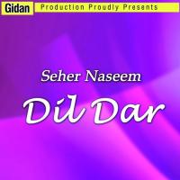 Bin Heet As Seher Naseem Song Download Mp3