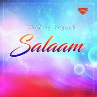 Aye Hussain Shafeeq Yaqoob Song Download Mp3