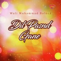 Heidri Shah Noor Wali Muhammad Baloch Song Download Mp3