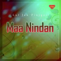 Marchan Doren Lal Jan Pinjgori Song Download Mp3