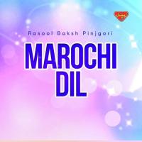 Teeri Rasool Baksh Pinjgori Song Download Mp3