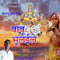 Babu Bhulile Arvind Yadav Song Download Mp3