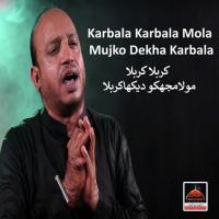 Karbala Karbala Mola Mujko Dekha Karbala Ali Raza Khan Song Download Mp3