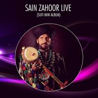 Tenu Qabr Udeekay Sain Zahoor Song Download Mp3